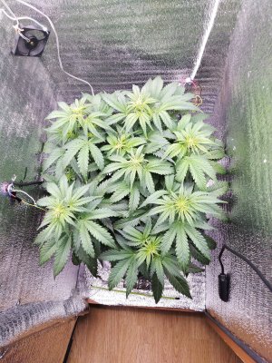 IMG_20230319_080207.jpg IMG_20230319_080207.jpg