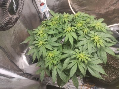 IMG_20230331_233039_704.jpg IMG_20230331_233039_704.jpg