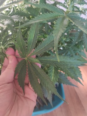 2023-04-03-16-29-33-586.jpg 2023-04-03-16-29-33-586.jpg