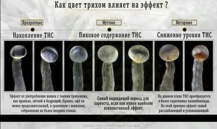 5C6EC0B7-F09F-4335-B2D7-B060C2038CA9.jpeg 5C6EC0B7-F09F-4335-B2D7-B060C2038CA9.jpeg