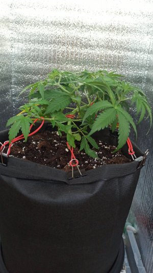 IMG_2023_04_11_15_23_29_8565021960695304087095.jpg IMG_2023_04_11_15_23_29_8565021960695304087095.jpg