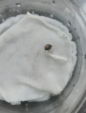 20230413_141512.jpg 20230413_141512.jpg