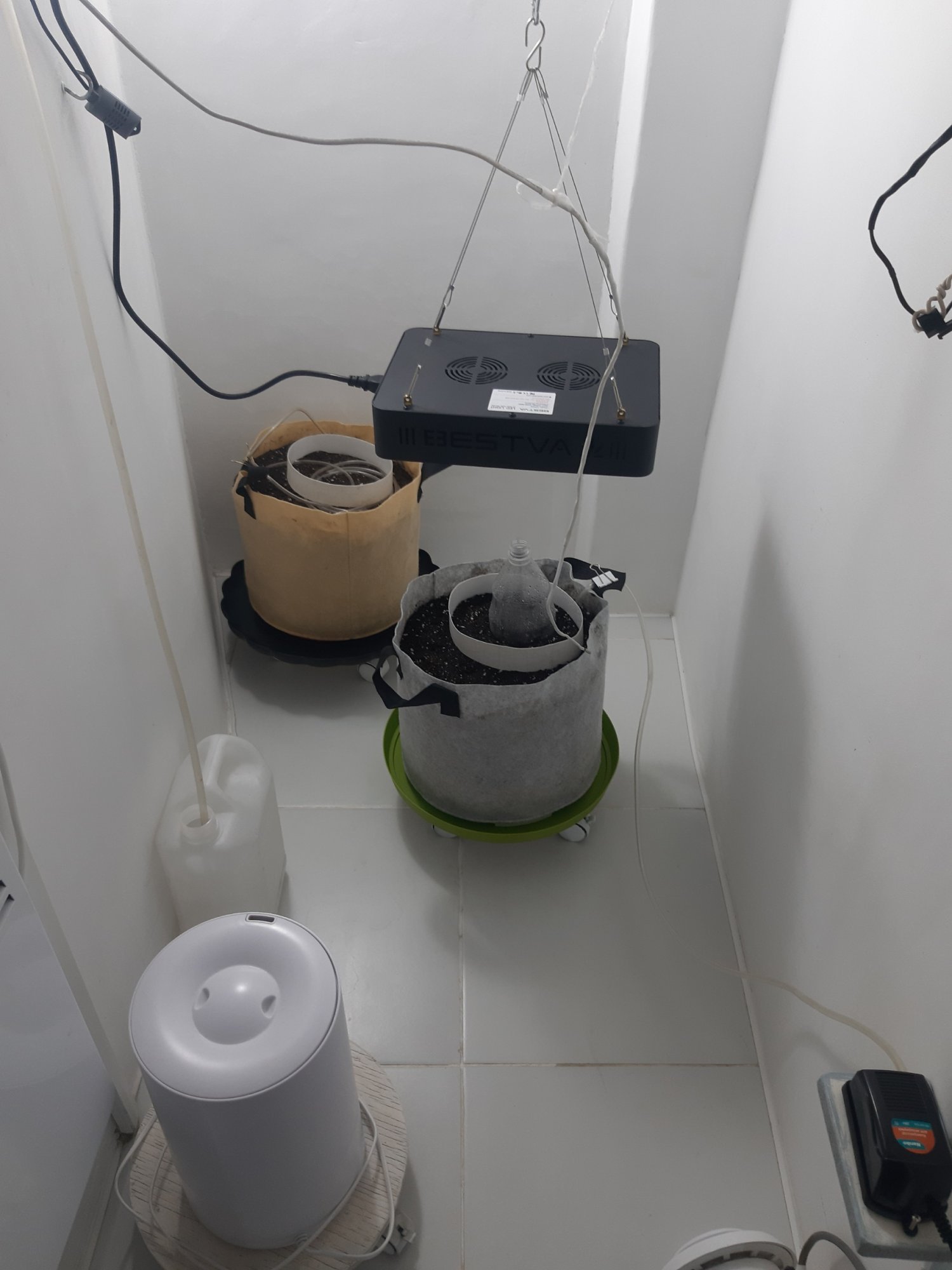 20230413_190134.jpg 20230413_190134.jpg