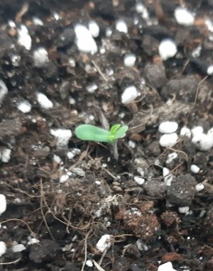 20230413_191421.jpg 20230413_191421.jpg