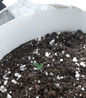 20230414_102707.jpg 20230414_102707.jpg