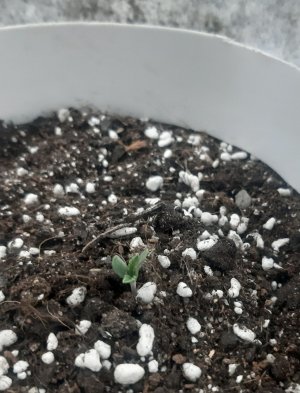 20230414_104104.jpg 20230414_104104.jpg