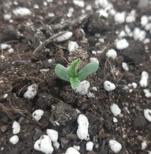 20230414_105119.jpg 20230414_105119.jpg