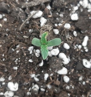 20230414_104916.jpg 20230414_104916.jpg