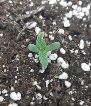 20221222_083317.jpg 20221222_083317.jpg