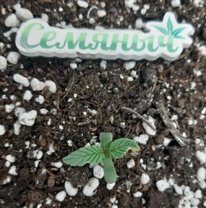 20221223_092726.jpg 20221223_092726.jpg