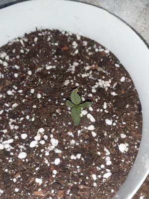 20230414_180541.jpg 20230414_180541.jpg