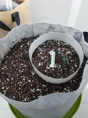 20230414_182328.jpg 20230414_182328.jpg