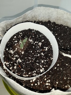 20230414_184438.jpg 20230414_184438.jpg