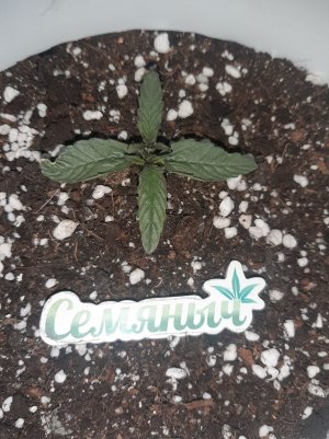 20230415_105039.jpg 20230415_105039.jpg