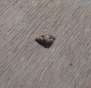 20221226_174523.jpg 20221226_174523.jpg