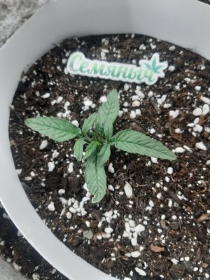 20230415_112739.jpg 20230415_112739.jpg