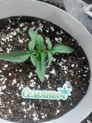 20230415_165021.jpg 20230415_165021.jpg