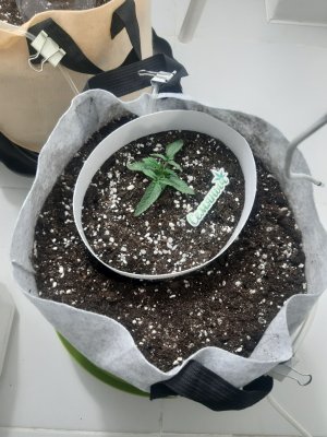 20230415_164952.jpg 20230415_164952.jpg