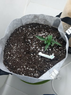 20230415_164822.jpg 20230415_164822.jpg