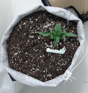 20230415_171037.jpg 20230415_171037.jpg