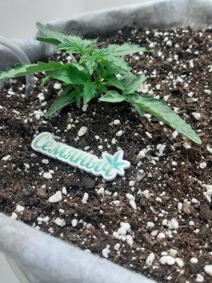 20230415_170843.jpg 20230415_170843.jpg