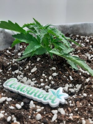 20230416_080023.jpg 20230416_080023.jpg