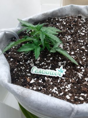 20230416_080755.jpg 20230416_080755.jpg