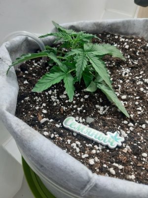 20230416_080649.jpg 20230416_080649.jpg