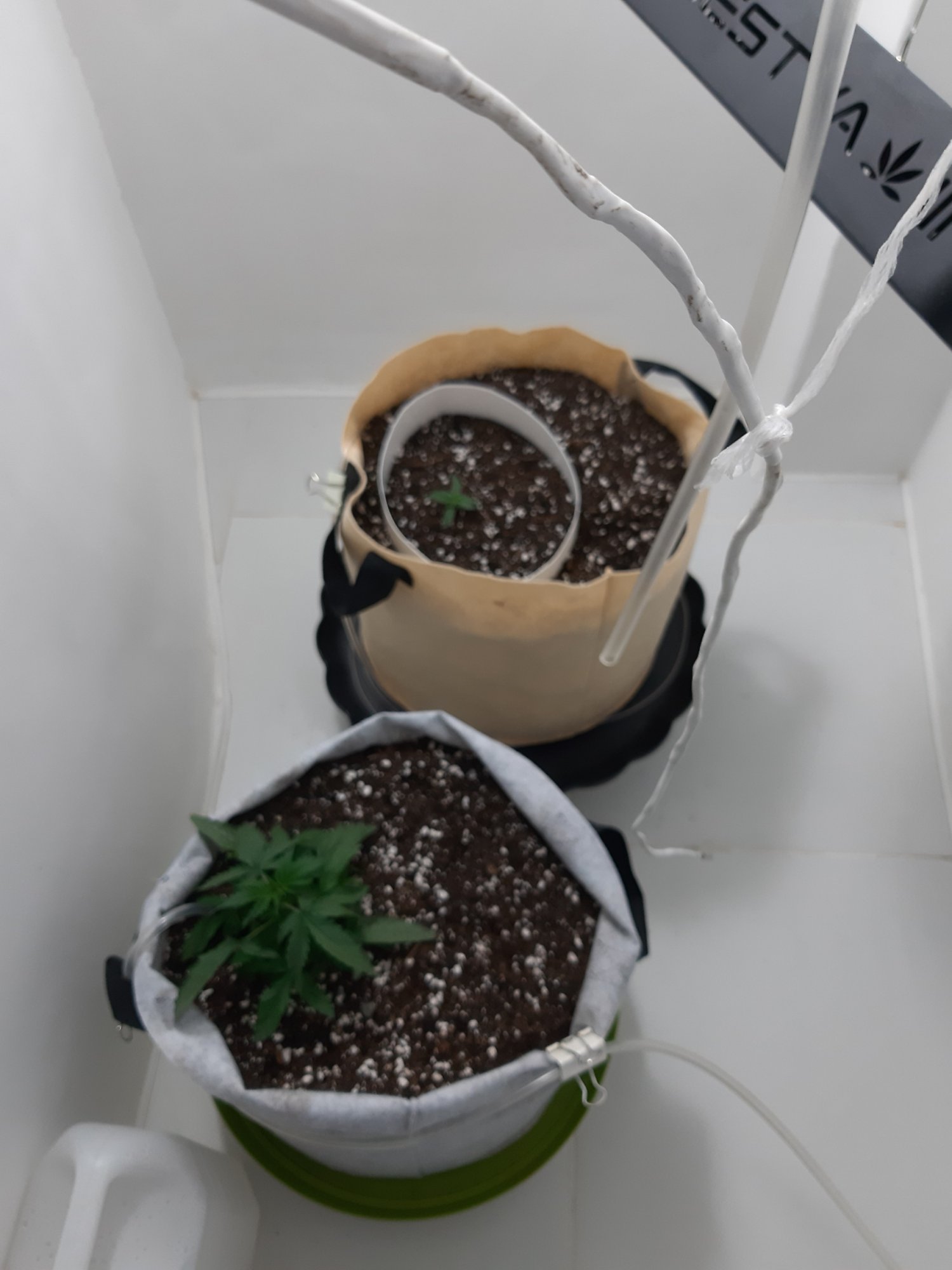 20230416_081232.jpg 20230416_081232.jpg