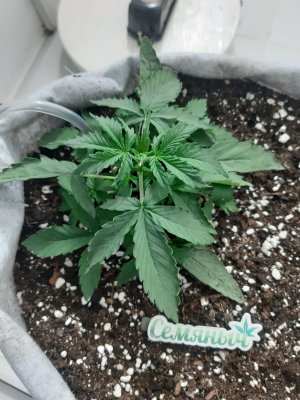 20230416_081904.jpg 20230416_081904.jpg