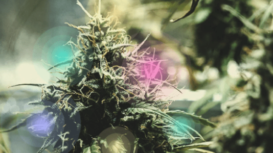 1635441265556.png 1635441265556.png