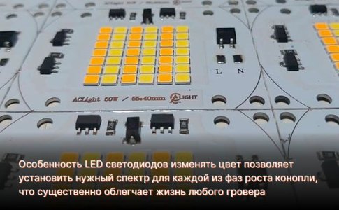Сравнение LED и COB LED Сравнение LED и COB LED