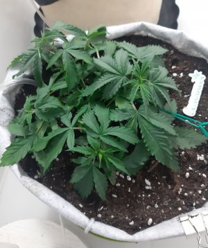 20230417_111459.jpg 20230417_111459.jpg