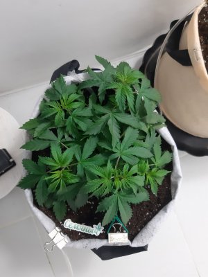 20230417_114024.jpg 20230417_114024.jpg