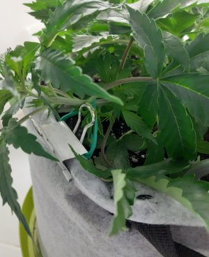 20230417_123244.jpg 20230417_123244.jpg