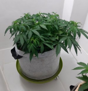 20230417_205206.jpg 20230417_205206.jpg