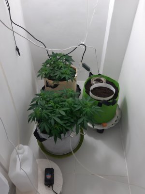 20230417_205240.jpg 20230417_205240.jpg