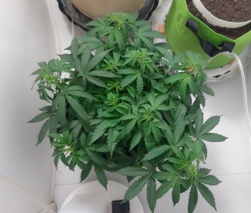 20230417_221923.jpg 20230417_221923.jpg