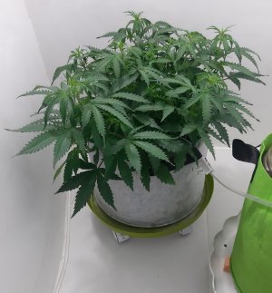 20230417_230628.jpg 20230417_230628.jpg