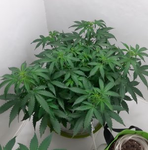 20230417_231740.jpg 20230417_231740.jpg