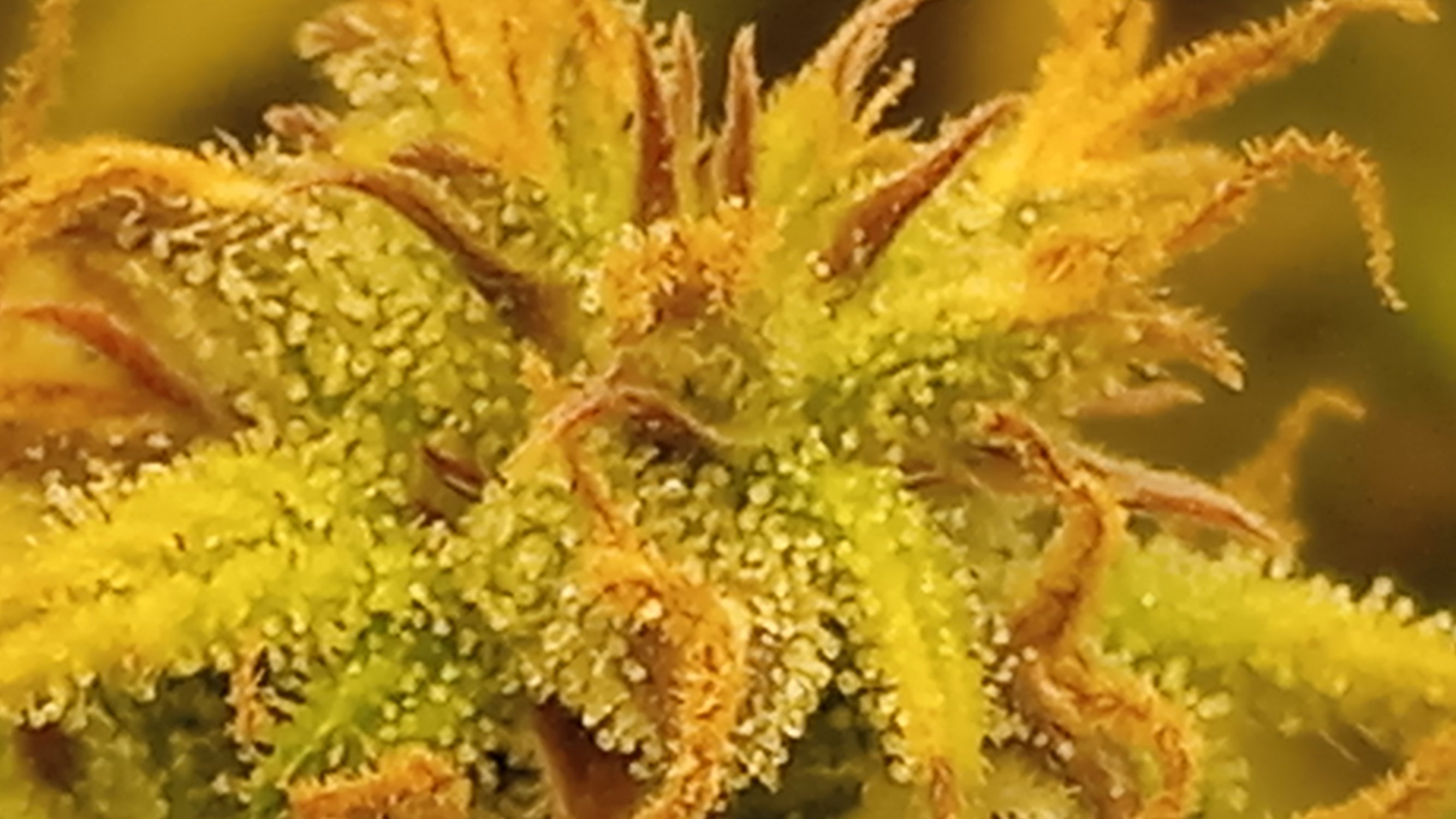 21.04.23 (4).jpg 21.04.23 (4).jpg