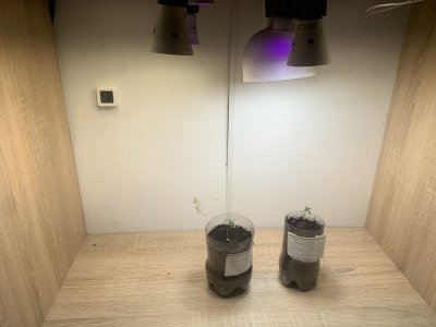 F94EBF58-92E6-4B06-AC79-94B18DCD3DD3.jpeg F94EBF58-92E6-4B06-AC79-94B18DCD3DD3.jpeg