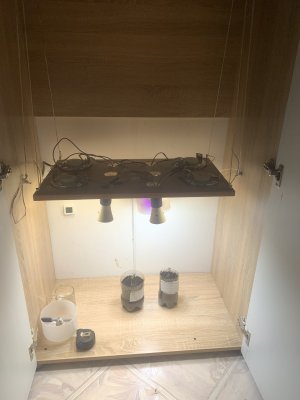 21375A53-4B7D-469F-89DD-3874A876FC20.jpeg 21375A53-4B7D-469F-89DD-3874A876FC20.jpeg