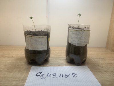 34011103-C574-493E-A948-22A3DE44A469.jpeg 34011103-C574-493E-A948-22A3DE44A469.jpeg