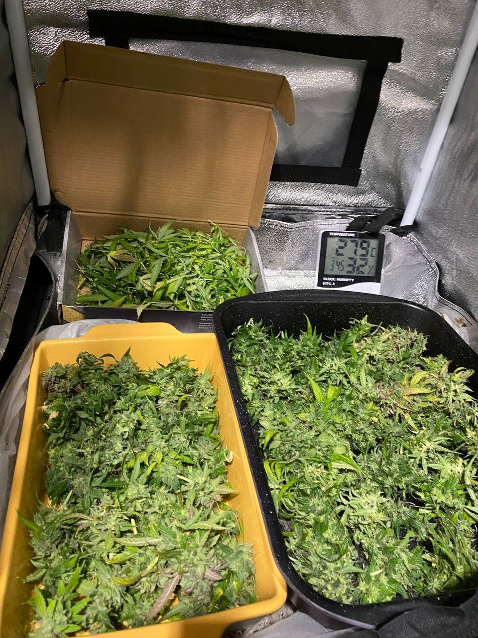 photo1682172184 (4).jpeg