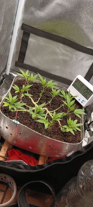 IMG_20230422_201427.jpg IMG_20230422_201427.jpg