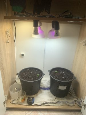 324C1F51-2795-4499-9DB8-3A43FAEF02DF.jpeg 324C1F51-2795-4499-9DB8-3A43FAEF02DF.jpeg