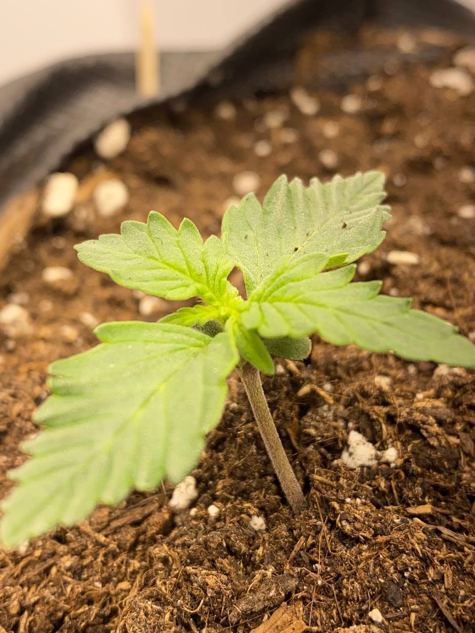 30D40D56-9D51-44B0-A41C-440808027F58.jpeg 30D40D56-9D51-44B0-A41C-440808027F58.jpeg