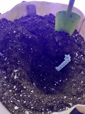 20230427_153731.jpg 20230427_153731.jpg