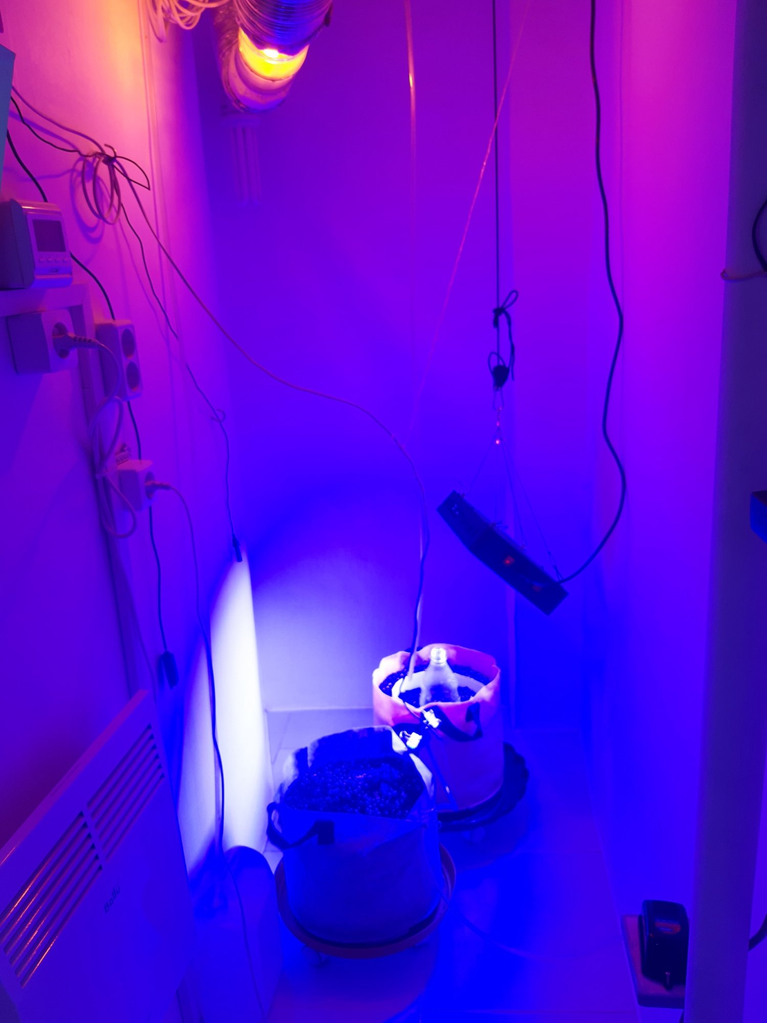 20230427_181837.jpg 20230427_181837.jpg